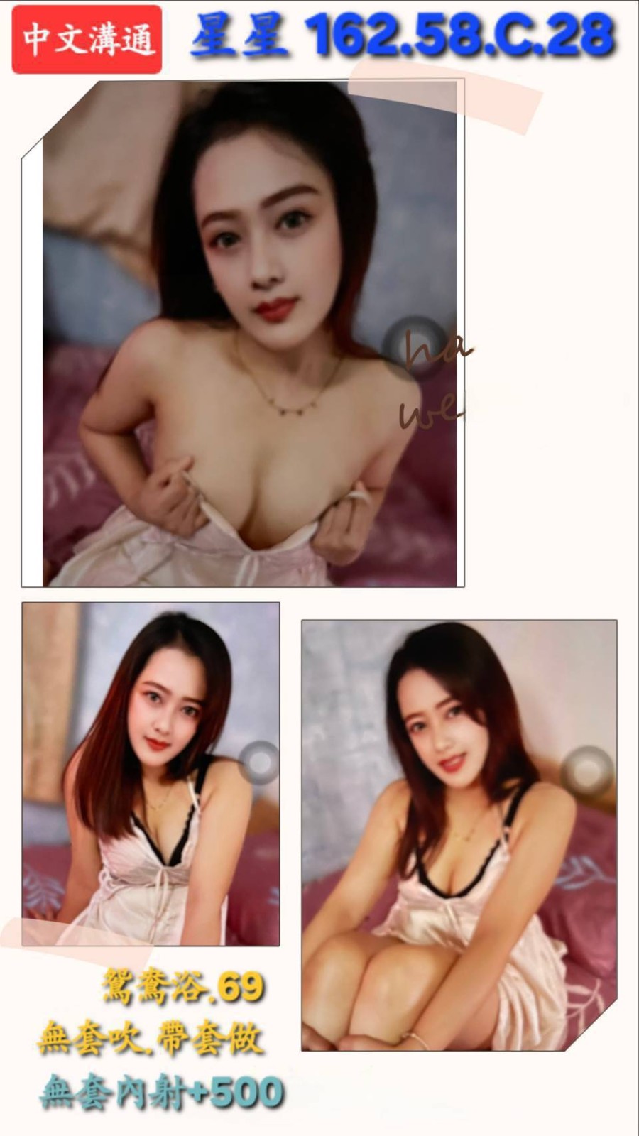 中壢定點